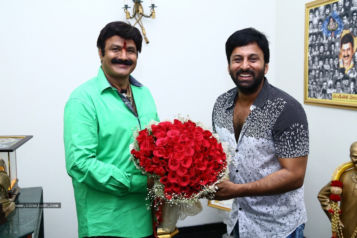 Balakrishna Birthday Celebrations 2015 - 22 / 64 photos