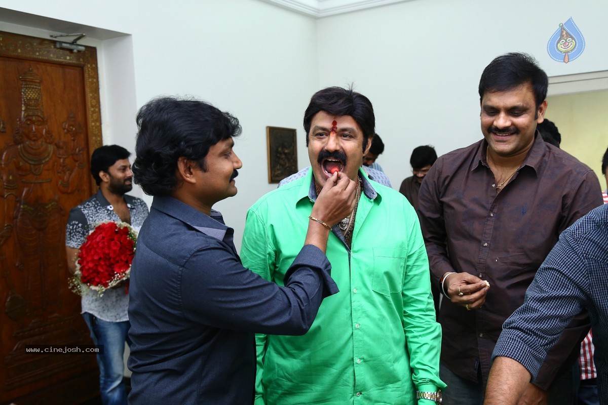 Balakrishna Birthday Celebrations 2015 - 24 / 64 photos