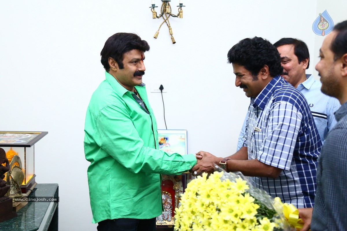 Balakrishna Birthday Celebrations 2015 - 27 / 64 photos