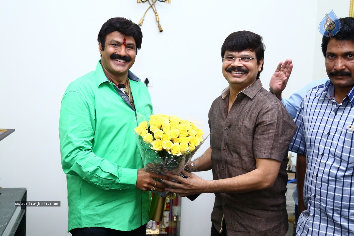 Balakrishna Birthday Celebrations 2015 - 29 / 64 photos