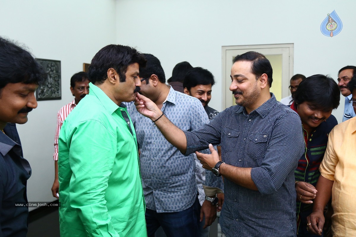 Balakrishna Birthday Celebrations 2015 - 31 / 64 photos