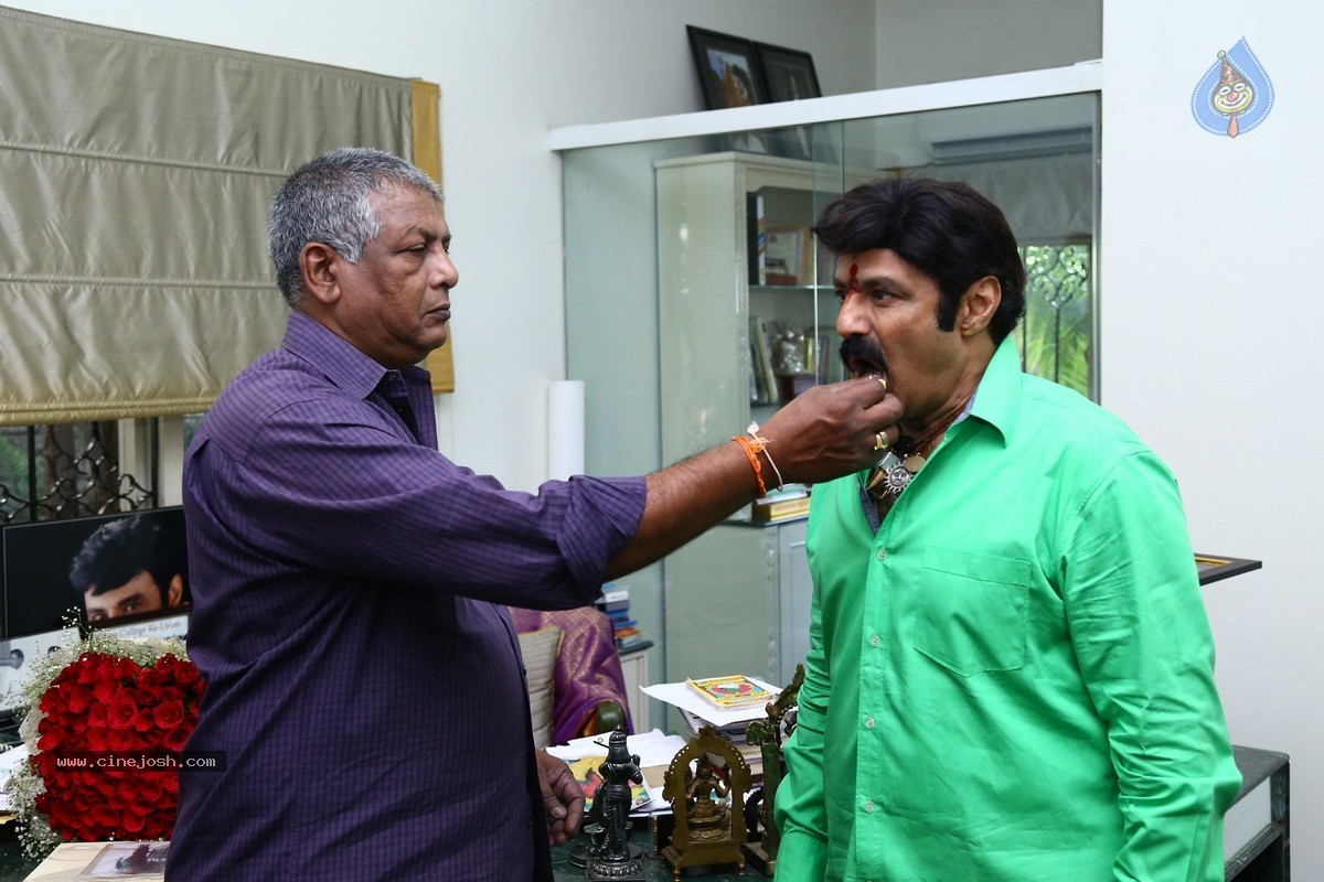 Balakrishna Birthday Celebrations 2015 - 32 / 64 photos