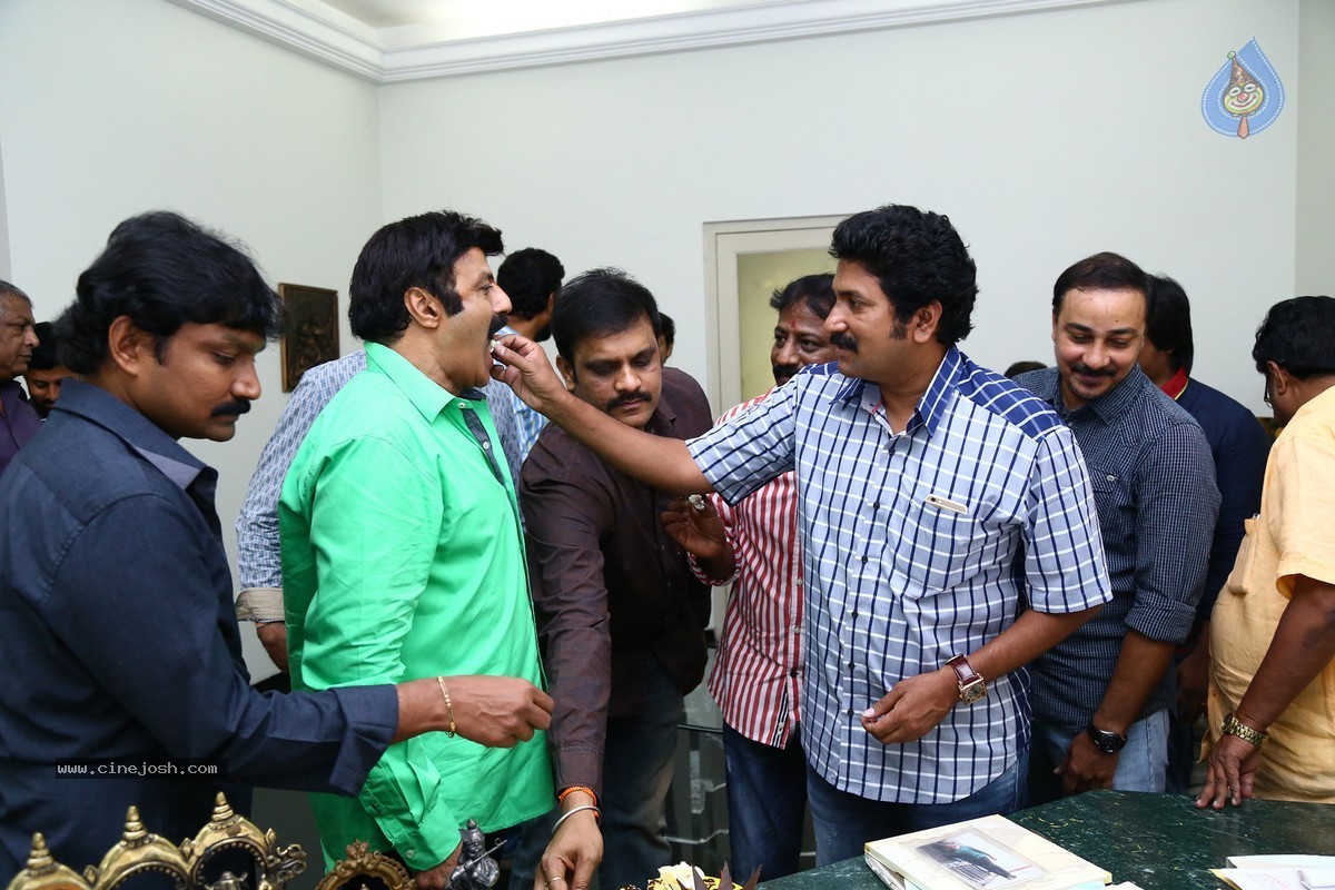 Balakrishna Birthday Celebrations 2015 - 39 / 64 photos