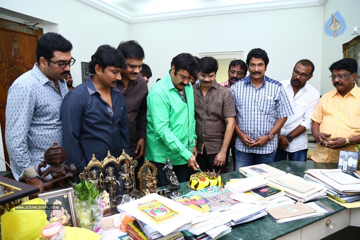 Balakrishna Birthday Celebrations 2015 - 40 / 64 photos