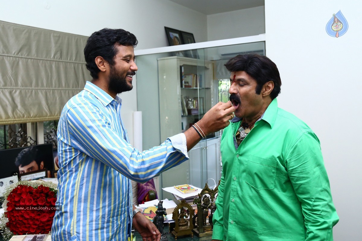 Balakrishna Birthday Celebrations 2015 - 41 / 64 photos