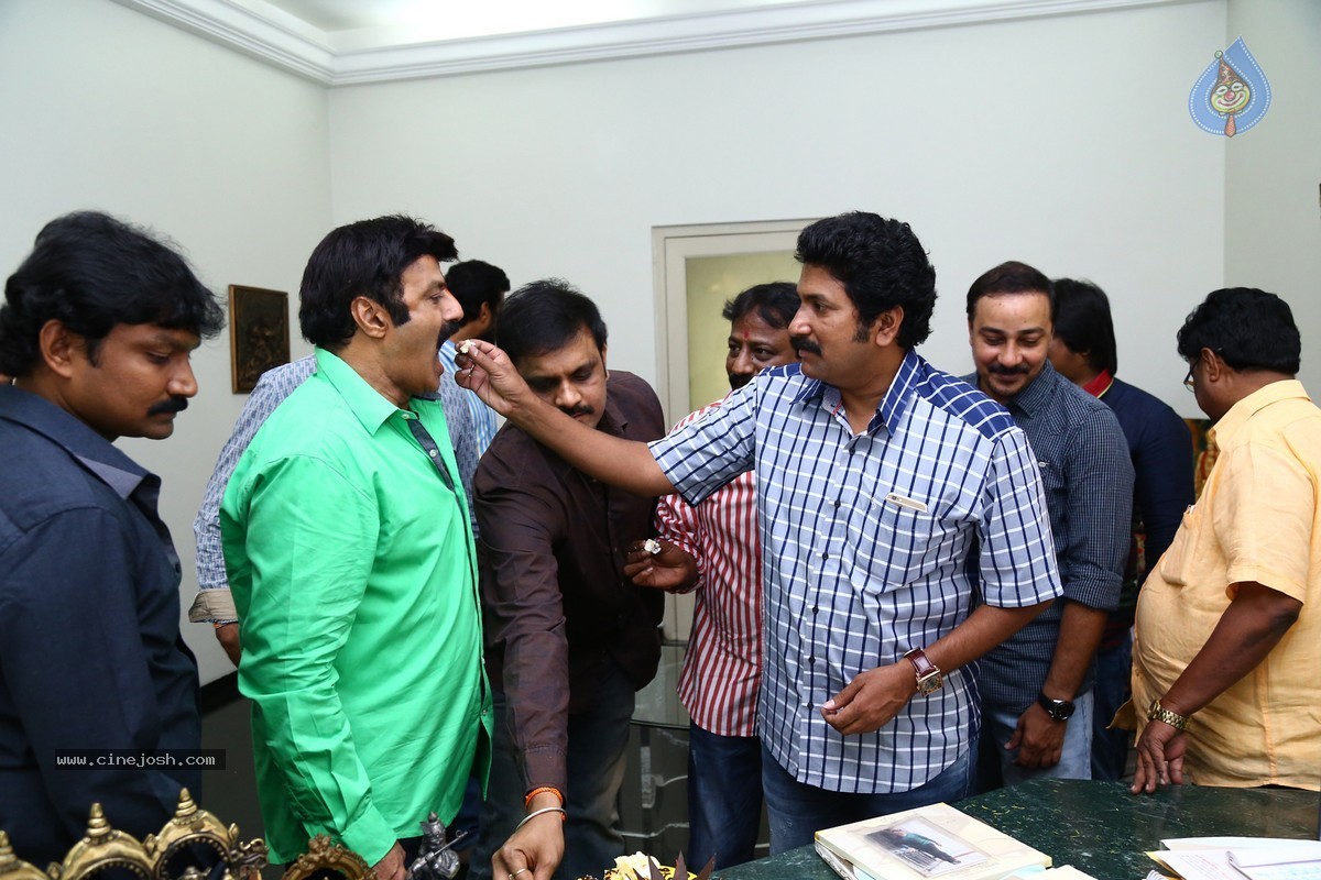 Balakrishna Birthday Celebrations 2015 - 42 / 64 photos