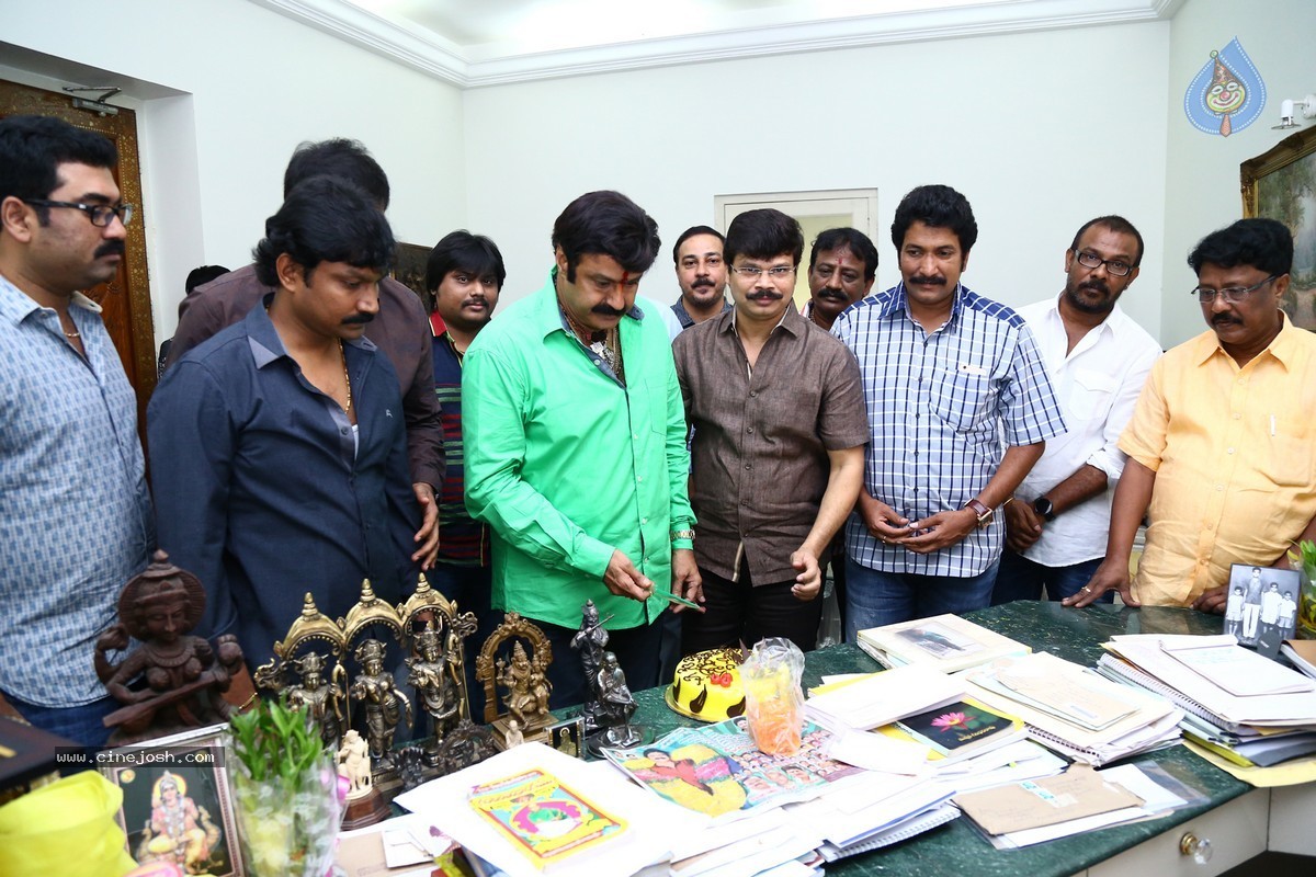 Balakrishna Birthday Celebrations 2015 - 43 / 64 photos