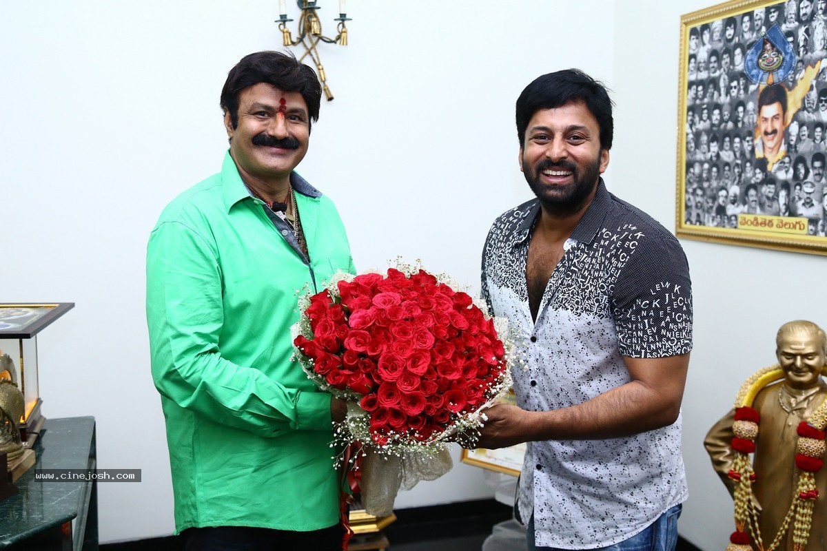 Balakrishna Birthday Celebrations 2015 - 47 / 64 photos