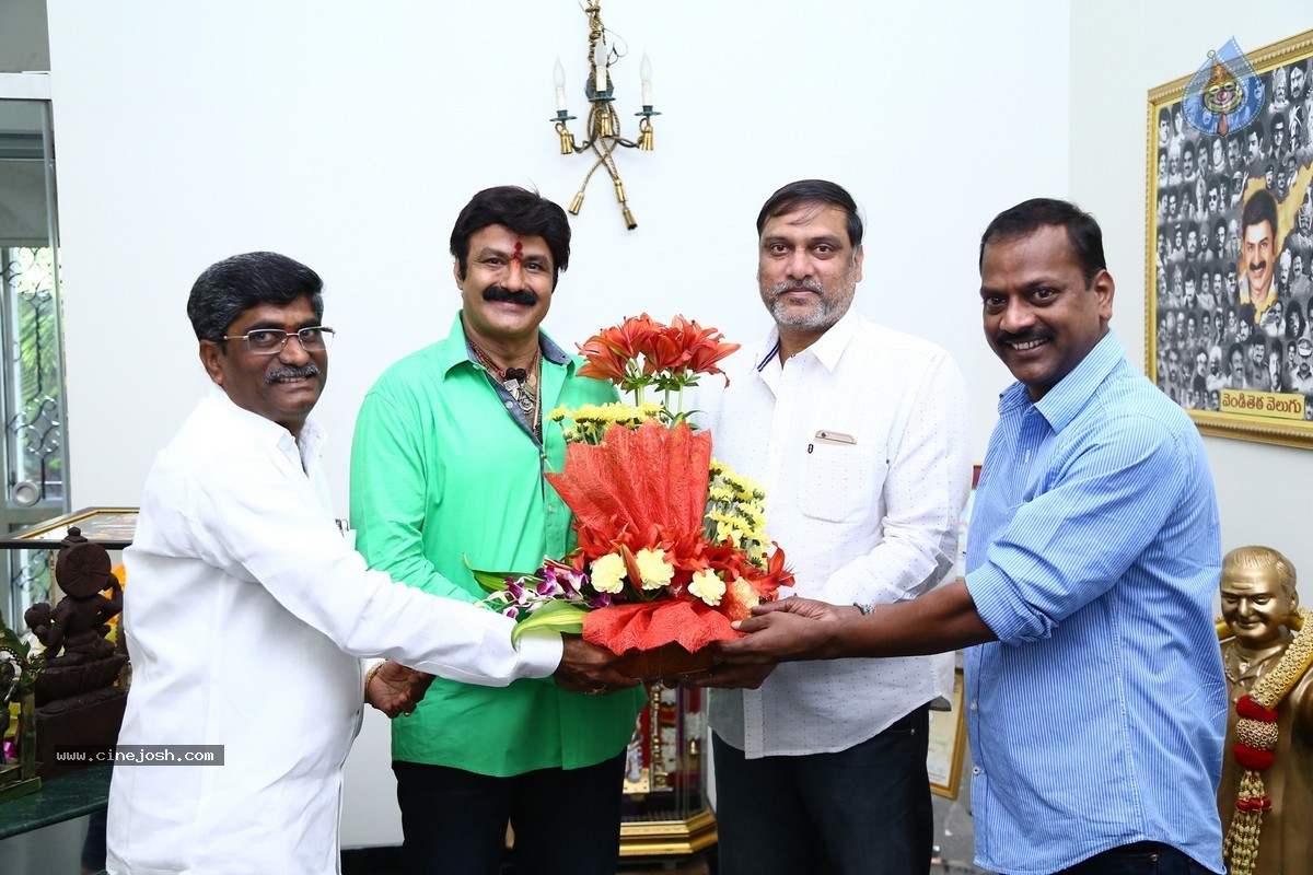 Balakrishna Birthday Celebrations 2015 - 52 / 64 photos