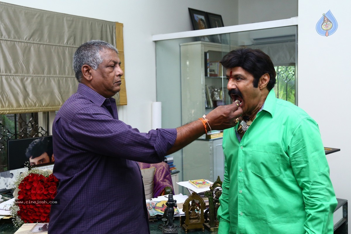 Balakrishna Birthday Celebrations 2015 - 53 / 64 photos