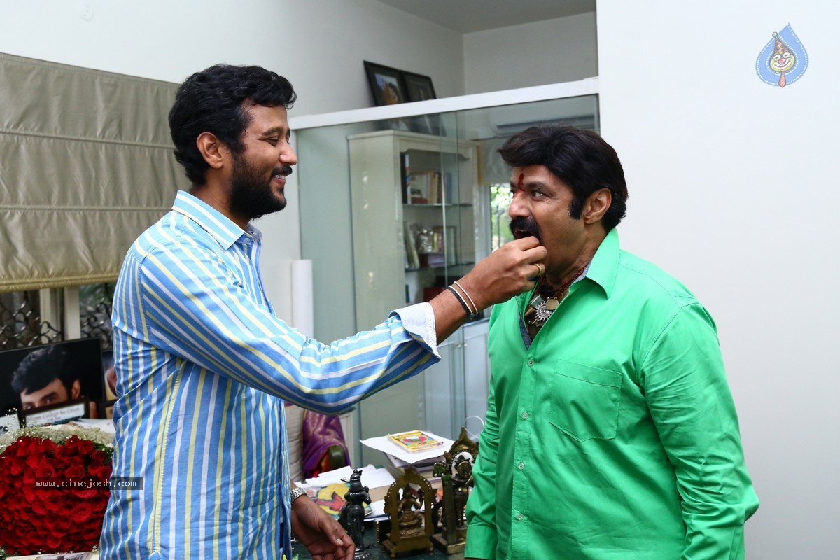 Balakrishna Birthday Celebrations 2015 - 60 / 64 photos