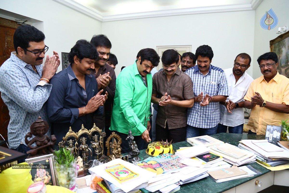 Balakrishna Birthday Celebrations 2015 - 61 / 64 photos