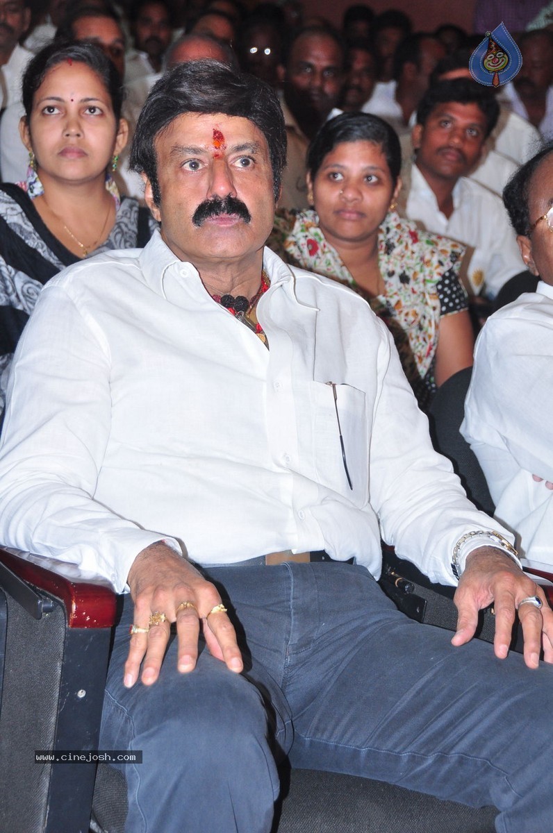 Balakrishna Birthday Celebrations at Basavatarakam Cancer Hospital - 40 / 63 photos