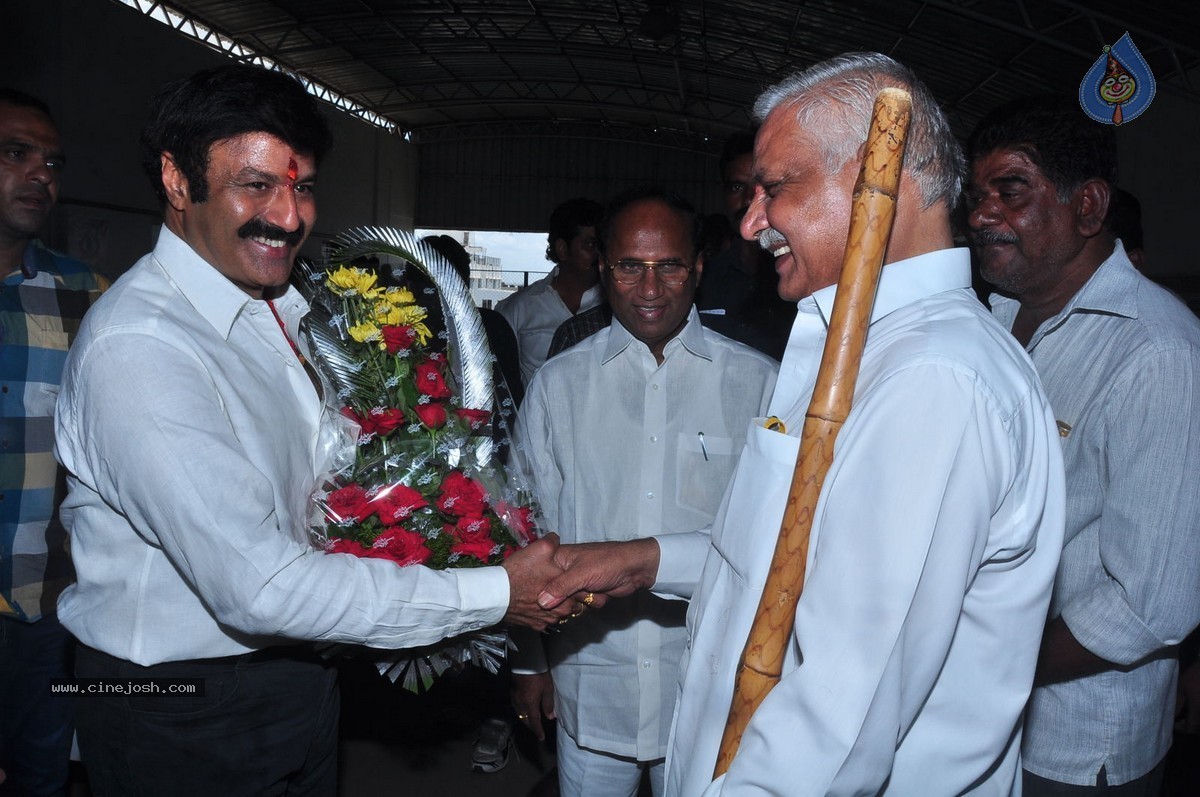 Balakrishna Birthday Celebrations at Basavatarakam Cancer Hospital - 61 / 63 photos