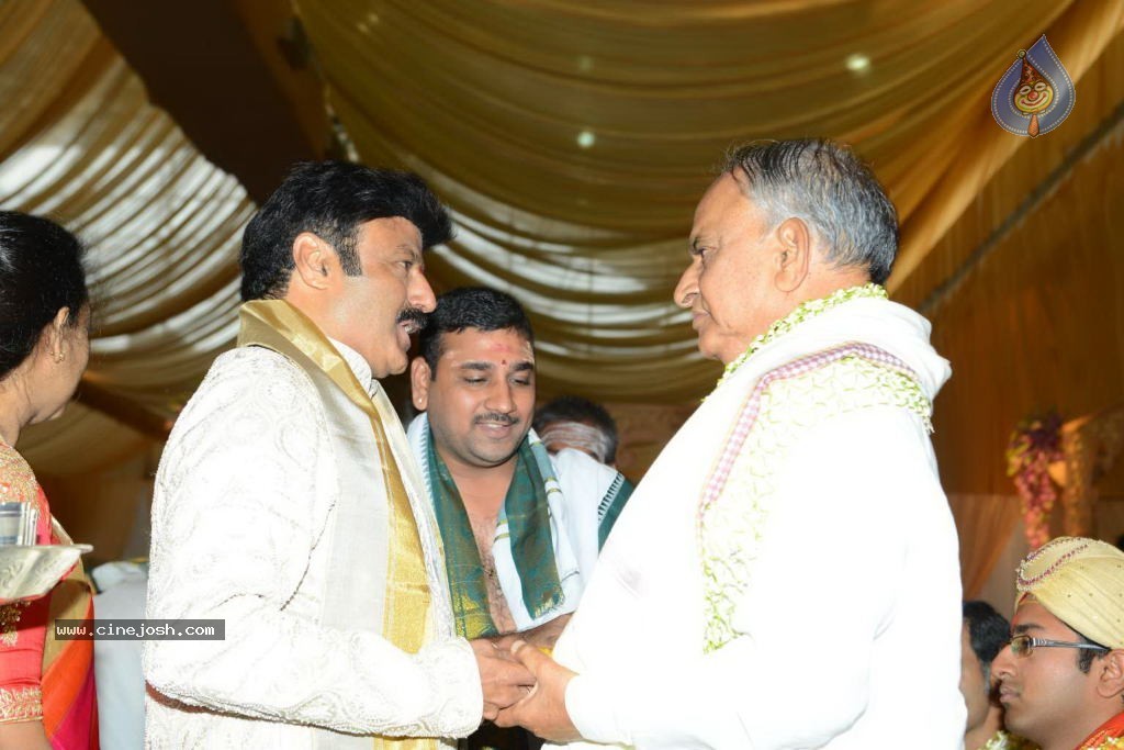 Chandra Babu Naidu at Tejaswini Wedding - 46 / 78 photos