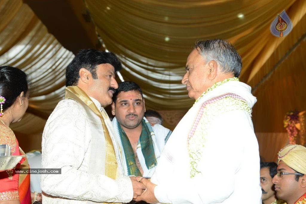 Chandra Babu Naidu at Tejaswini Wedding - 66 / 78 photos