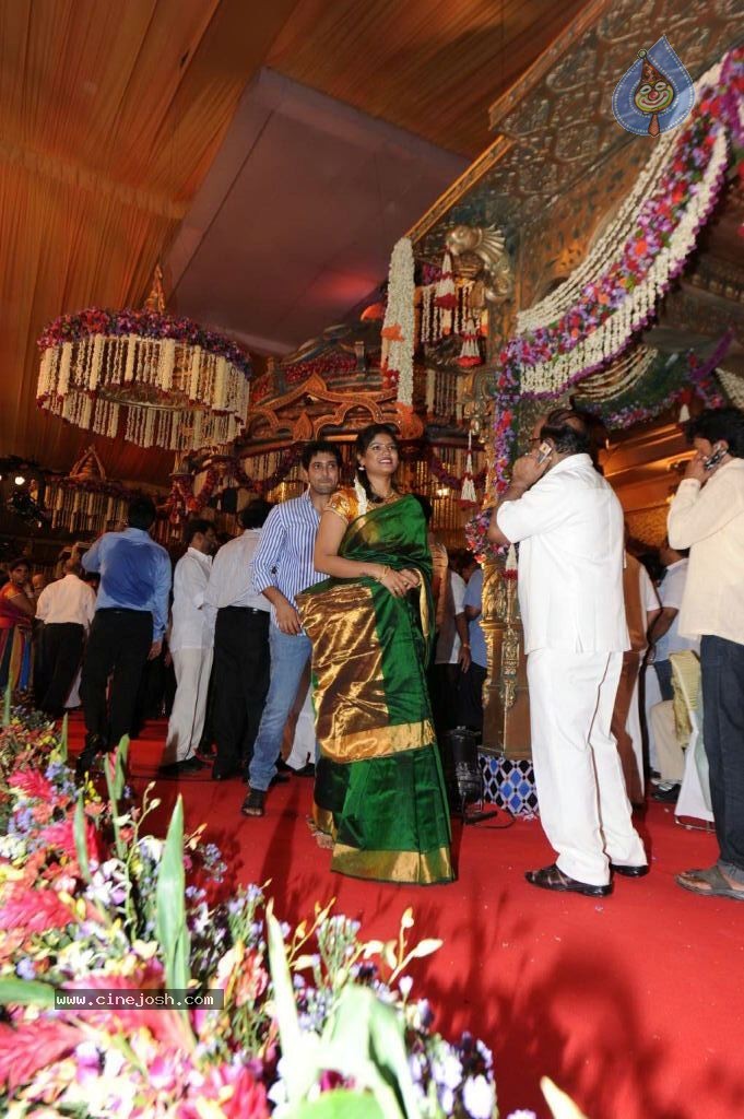 Politicians and Tollywood Stars at Balakrishna Daughter Wedding - 12 / 48 photos
