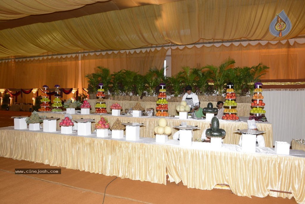 Balakrishna Daughter Wedding Stage Photos - 6 / 54 photos