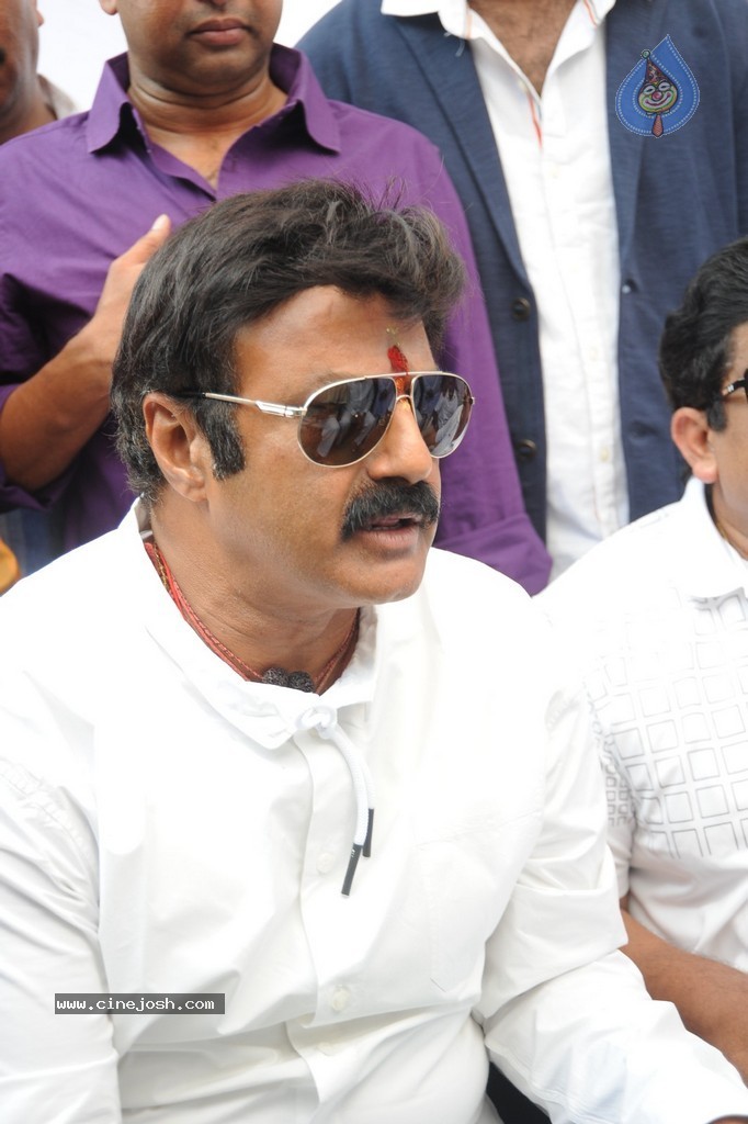 Balakrishna Launches Raju Gari Ruchulu - 14 / 304 photos