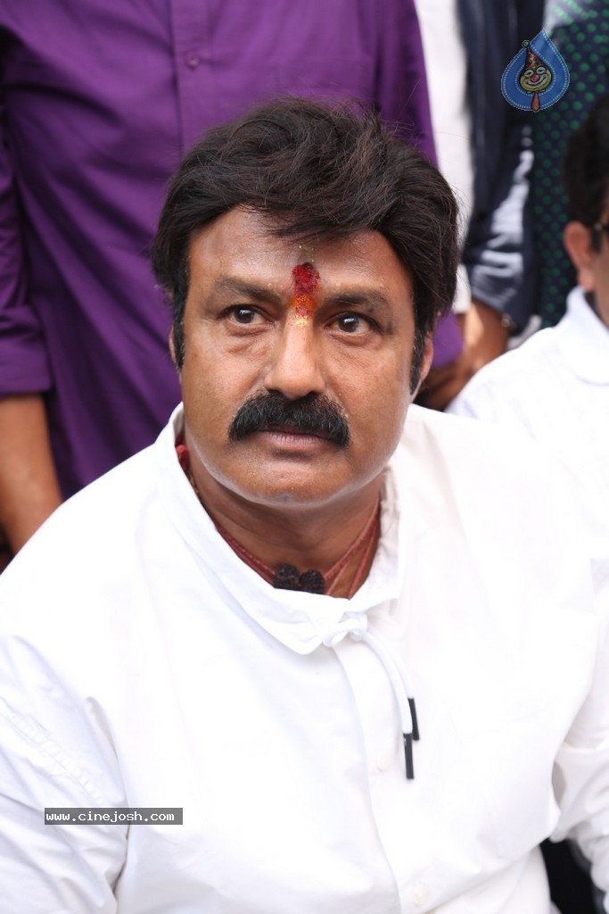 Balakrishna Launches Raju Gari Ruchulu - 49 / 304 photos