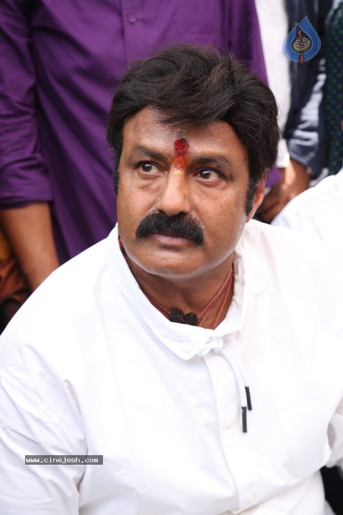 Balakrishna Launches Raju Gari Ruchulu - 60 / 304 photos