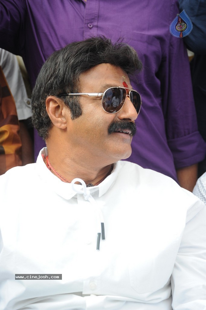 Balakrishna Launches Raju Gari Ruchulu - 65 / 304 photos