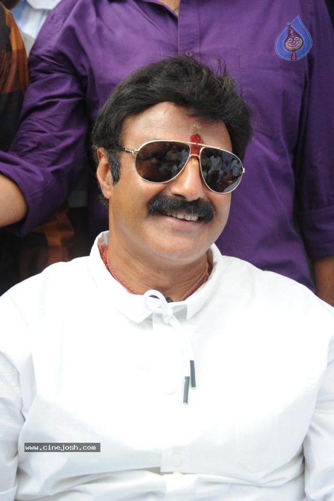 Balakrishna Launches Raju Gari Ruchulu - 72 / 304 photos