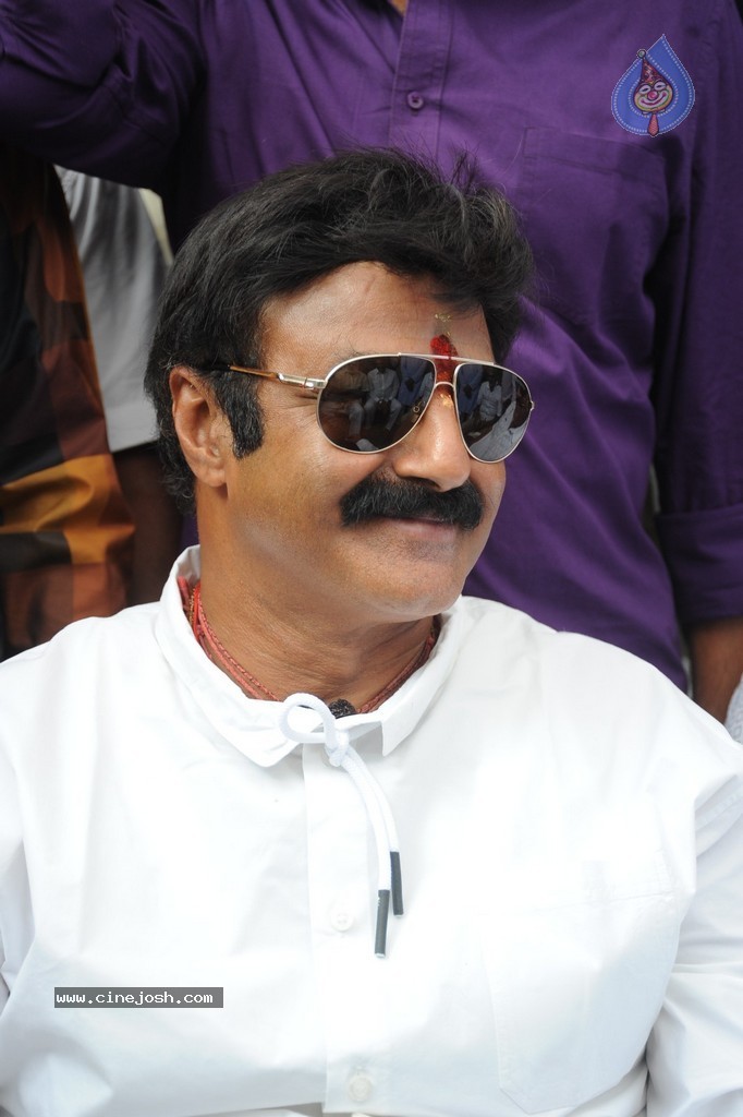 Balakrishna Launches Raju Gari Ruchulu - 77 / 304 photos
