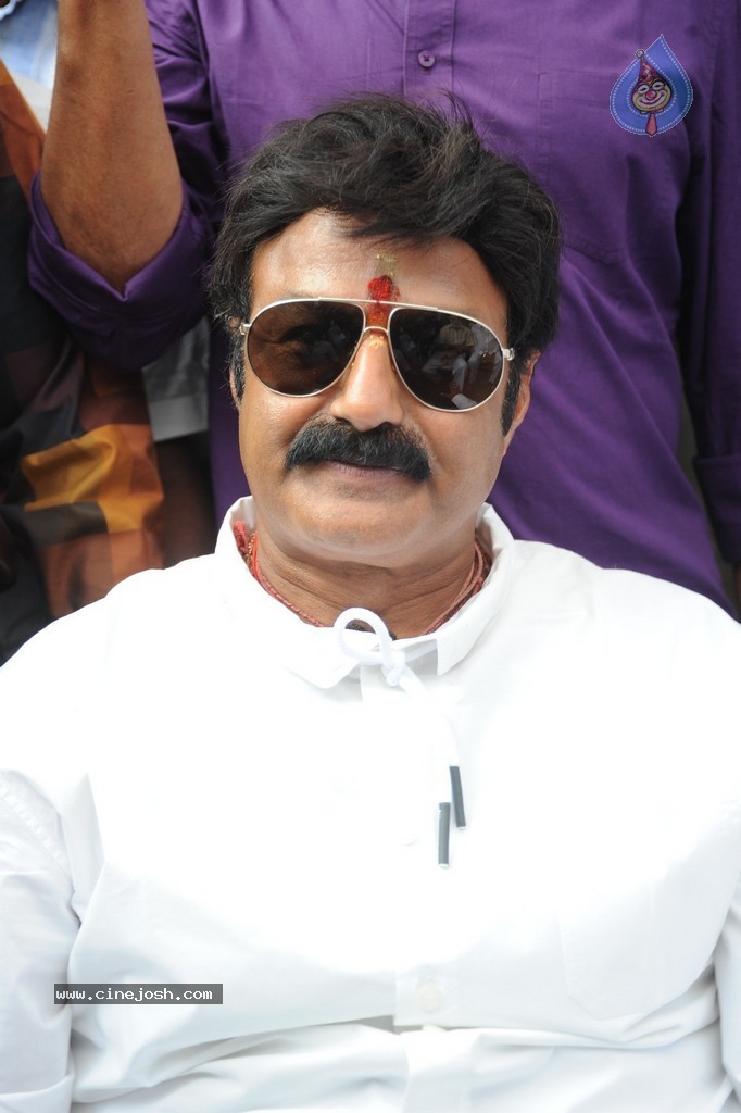 Balakrishna Launches Raju Gari Ruchulu - 135 / 304 photos