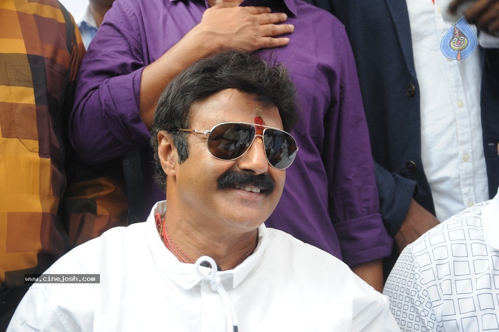 Balakrishna Launches Raju Gari Ruchulu - 139 / 304 photos