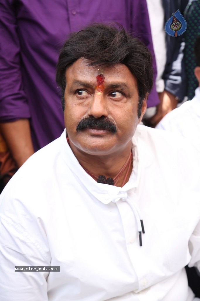 Balakrishna Launches Raju Gari Ruchulu - 150 / 304 photos