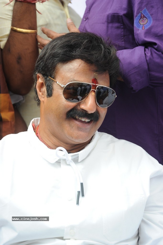 Balakrishna Launches Raju Gari Ruchulu - 180 / 304 photos