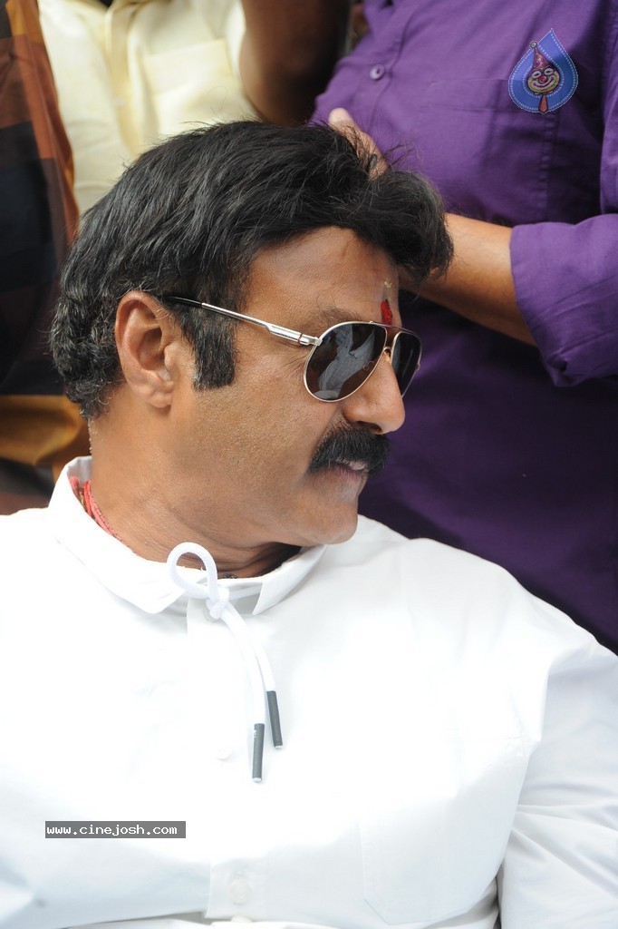 Balakrishna Launches Raju Gari Ruchulu - 187 / 304 photos