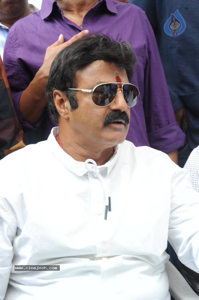 Balakrishna Launches Raju Gari Ruchulu - 240 / 304 photos