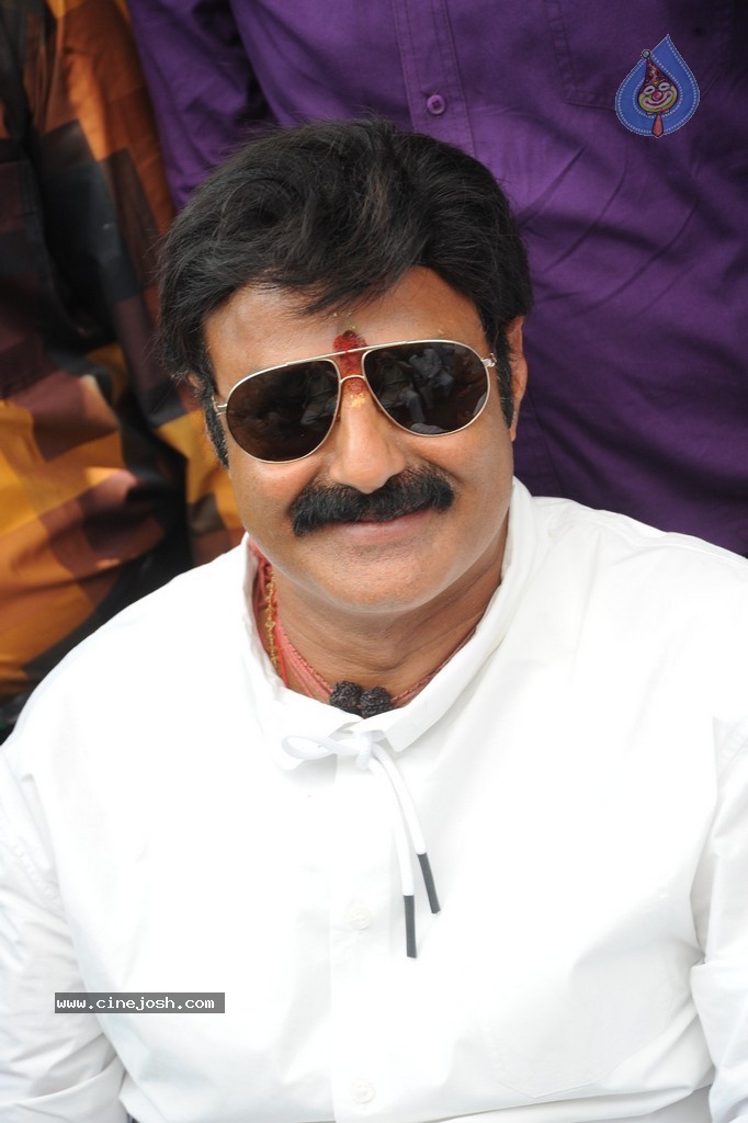 Balakrishna Launches Raju Gari Ruchulu - 269 / 304 photos