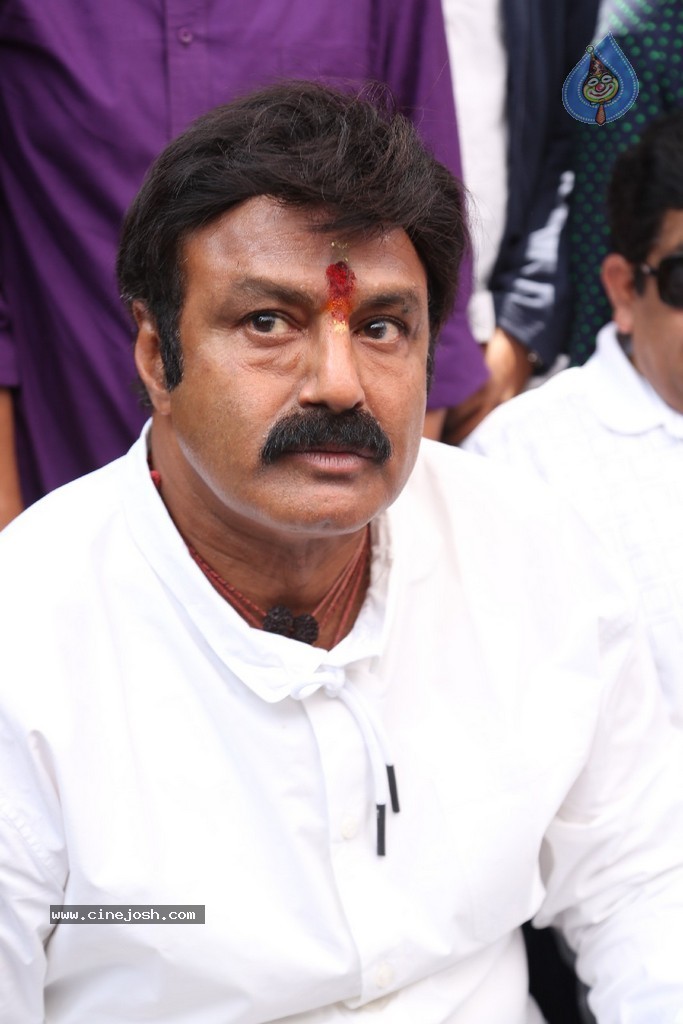 Balakrishna Launches Raju Gari Ruchulu - 297 / 304 photos