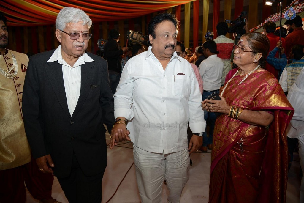 Bandaru Dattatreya Daughter Marriage Photos - 16 / 128 photos