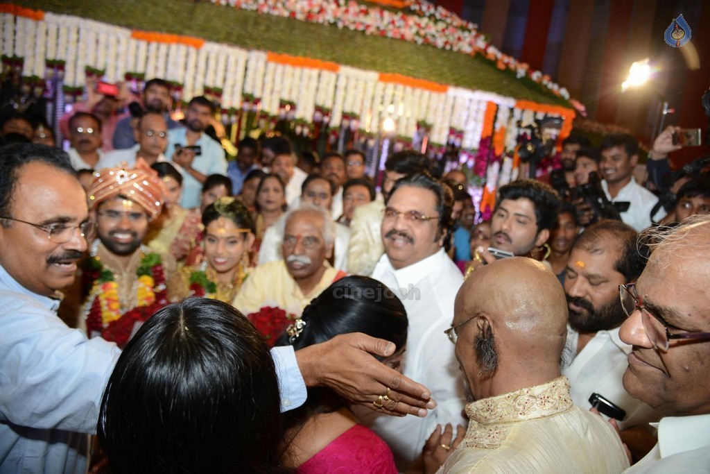Bandaru Dattatreya Daughter Marriage Photos - 124 / 128 photos