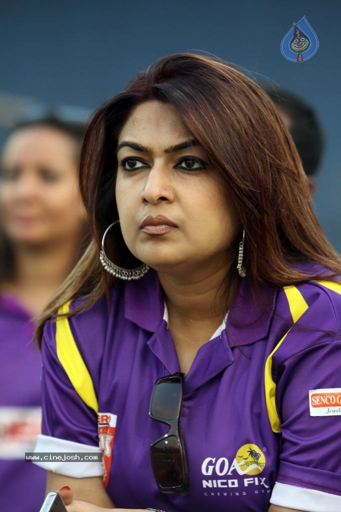 Bengal Tigers Vs Mumbai Heroes Match - 34 / 216 photos