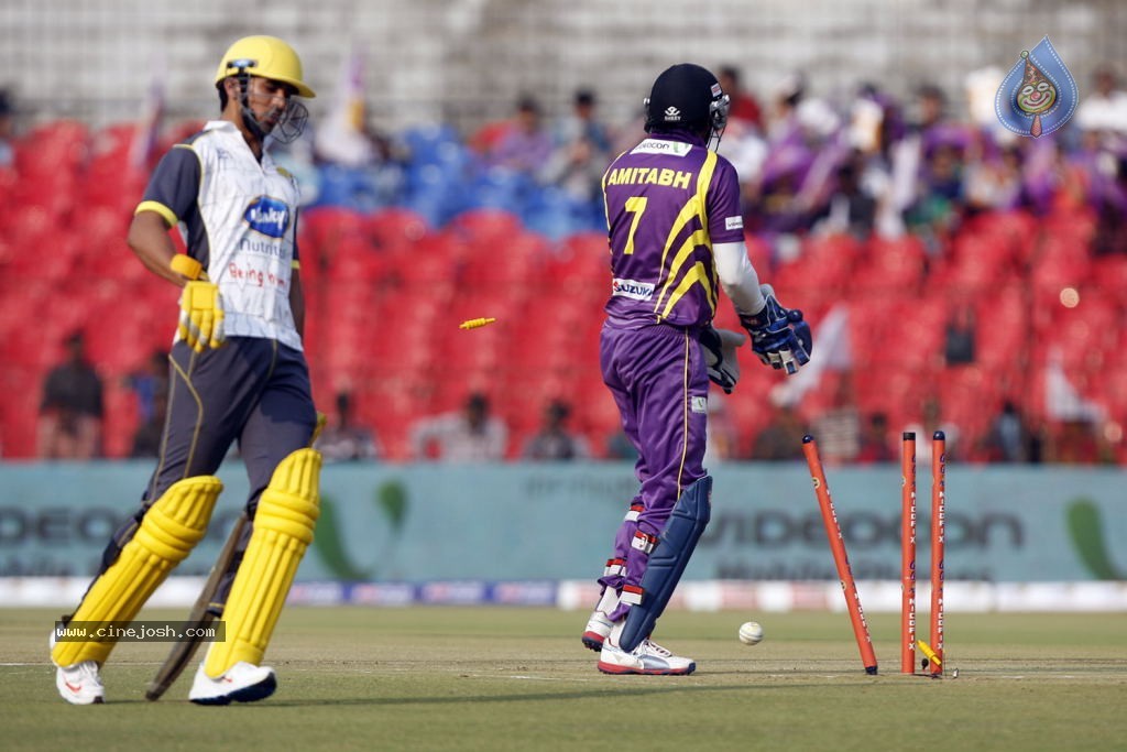 Bengal Tigers Vs Mumbai Heroes Match - 86 / 216 photos