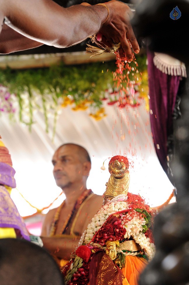 Bhadradri Sri Sita Rama Kalyanam Photos - 14 / 21 photos