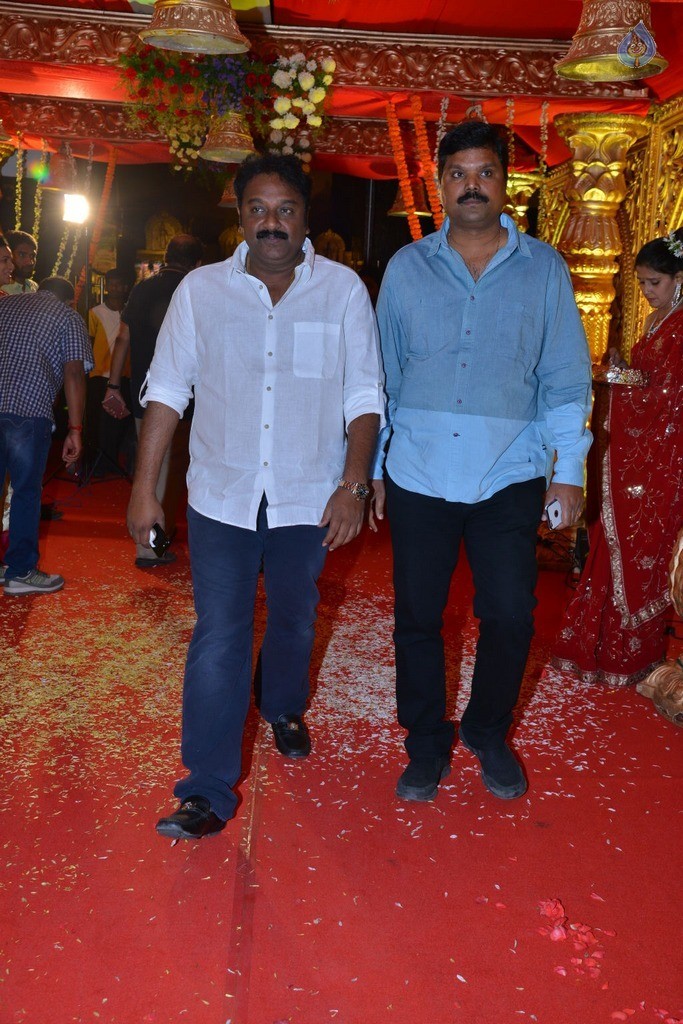 Bhuvan Sagar and Sindhusha Wedding Reception Photos - 62 / 124 photos