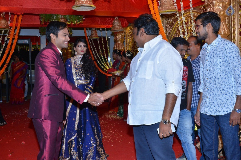 Bhuvan Sagar and Sindhusha Wedding Reception Photos - 84 / 124 photos