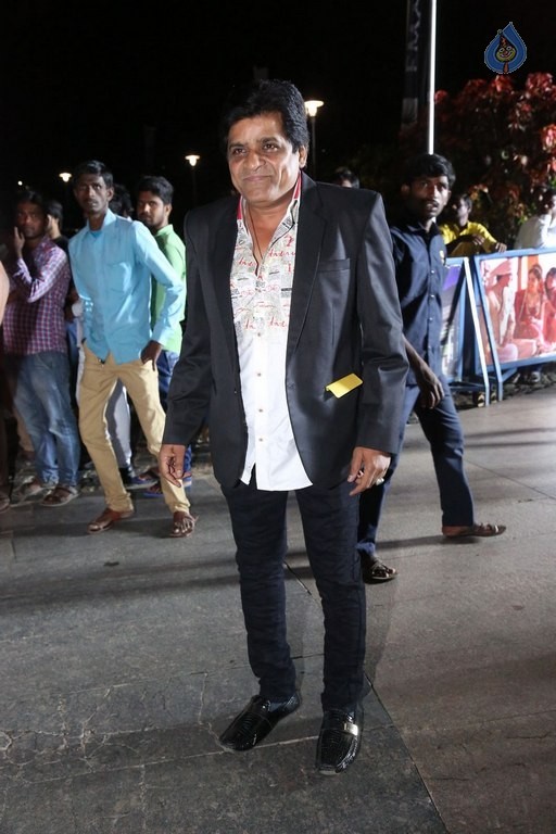 Britannia Filmfare Awards 2016 Photos 3 - 57 / 59 photos