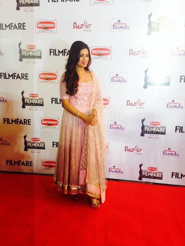 Britannia Filmfare Awards South Photos - 19 / 38 photos