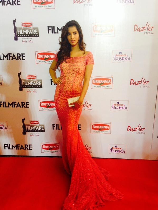 Britannia Filmfare Awards South Photos - 30 / 38 photos