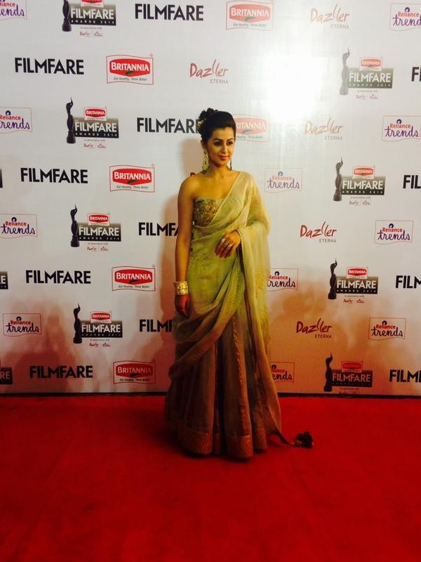 Britannia Filmfare Awards South Photos - 35 / 38 photos