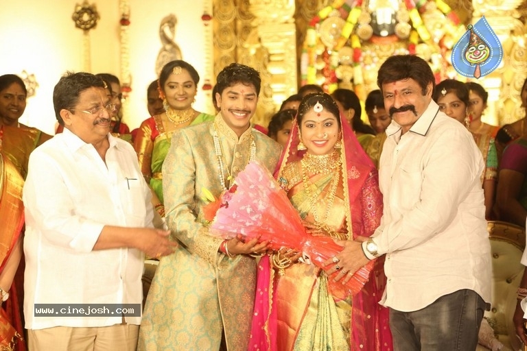 C Kalyan son Teja - Naga Sree Wedding Reception - 93 / 136 photos