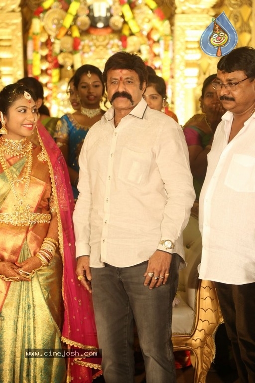 C Kalyan son Teja - Naga Sree Wedding Reception - 121 / 136 photos