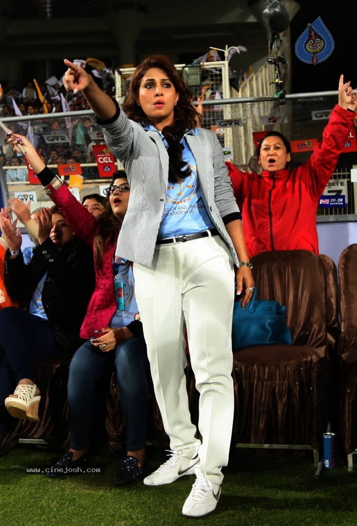 CCL4 Bhojpuri Dabanggs Vs Chennai Rhinos Match Photos - 89 / 168 photos